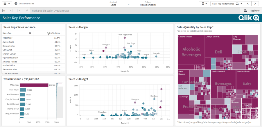 Qlik Sense Kursu